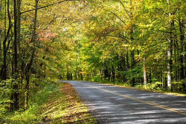 Silnice Meandering Autumn Appalachian Mountains Podél Blue Ridge Parkway — Stock fotografie