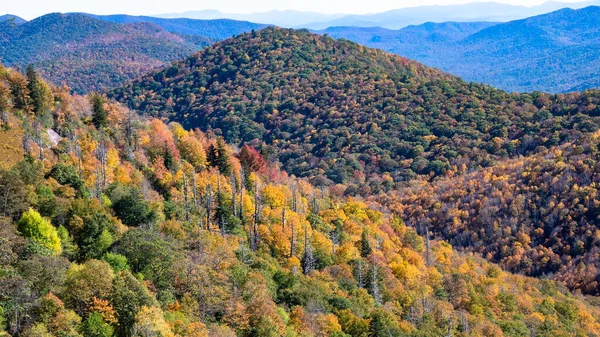 Autunno Sulle Montagne Degli Appalachi Vista Lungo Blue Ridge Parkway — Foto Stock