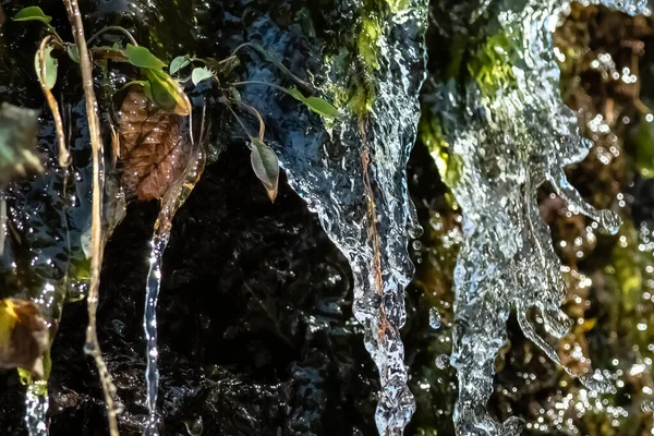 Natura Astratta Spruzzi Acqua Che Scorrono Verso Basso Avvolgono Vegetazione — Foto Stock