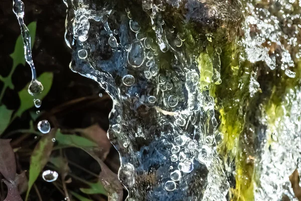 Nature Abstract Spritzendes Wasser Strömt Herunter Und Umhüllt Frische Grüne — Stockfoto