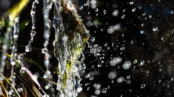 Nature Abstract Salpicar Chorro Agua Envolver Vegetación Verde Fresca —  Fotos de Stock