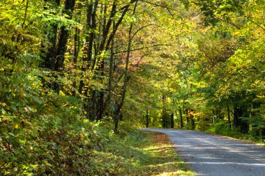 Sonbahar Appalachian Dağları 'nın içinden Blue Ridge Parkway boyunca gezinen yol.