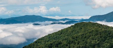 Apalaş Dağları 'nın vadilerinde sisli bir sabah. Blue Ridge Parkway' in manzarası.