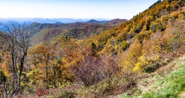 Appalachian Dağlarında sonbahar Blue Ridge Parkway boyunca görüldü.
