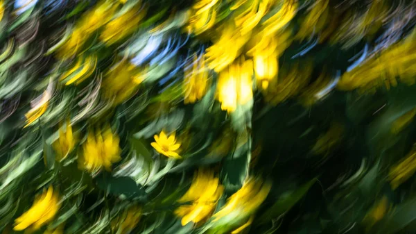 Nature Abstract: Yellow and Green Motion Blur Suitable for Background