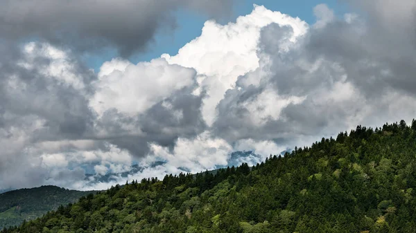 Nebliger Morgen Den Tälern Der Appalachen Blick Vom Blue Ridge — Stockfoto