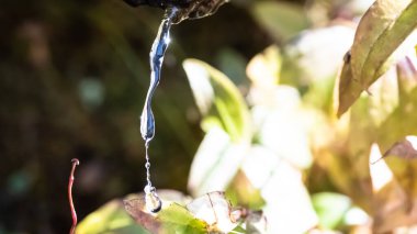 Gümüş Su Akıntısı Bir Kayadan dökülüyor