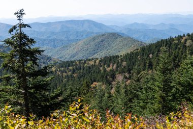 Appalachian Dağlarında sonbahar Blue Ridge Parkway boyunca görüldü.