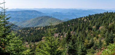 Appalachian Dağlarında sonbahar Blue Ridge Parkway boyunca görüldü.