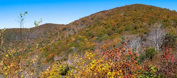 阿巴拉契亚山脉的秋天 沿着蓝色山脊路眺望 — 图库照片