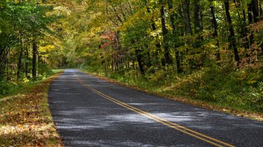 Sonbahar Appalachian Dağları 'nın içinden Blue Ridge Parkway boyunca gezinen yol.