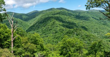 Appalachian Dağ Manzarası Blue Ridge Parkway boyunca