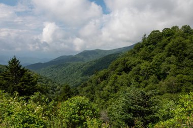 Appalachian Dağları 'nda bir yaz Blue Ridge Parkway boyunca görüldü.