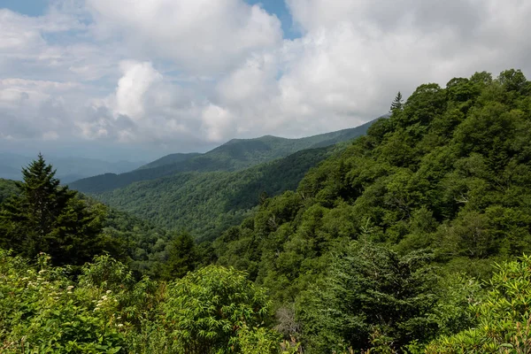 Verano Las Montañas Apalaches Visto Largo Del Blue Ridge Parkway — Foto de Stock