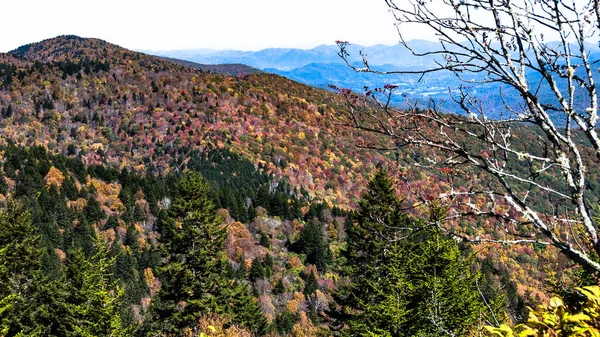 Outono Nas Montanhas Apalaches Vista Longo Blue Ridge Parkway — Fotografia de Stock