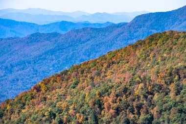 Appalachian Dağlarında sonbahar Blue Ridge Parkway boyunca görüldü.