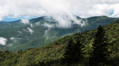 Appalachian Dağ Manzarası Blue Ridge Parkway boyunca