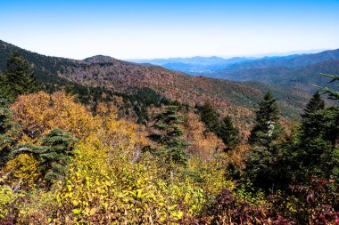 Appalachian Dağlarında sonbahar Blue Ridge Parkway boyunca görüldü.