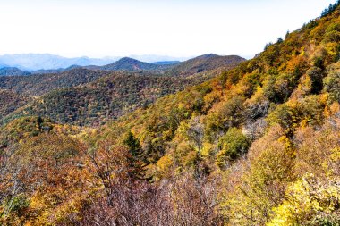 Appalachian Dağlarında sonbahar Blue Ridge Parkway boyunca görüldü.
