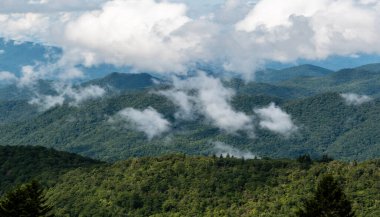 Appalachian Dağ Manzarası Blue Ridge Parkway boyunca