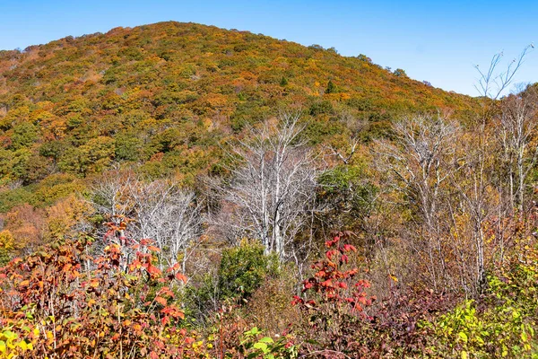 Autumn Appalachian Mountains Viewed Blue Ridge Parkway — Stock Photo, Image