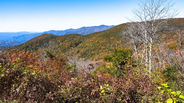 Hösten Appalachian Mountains Visas Längs Blue Ridge Parkway — Stockfoto