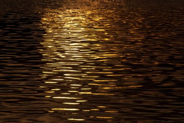 Günbatımı ışığında altın parıltılı su