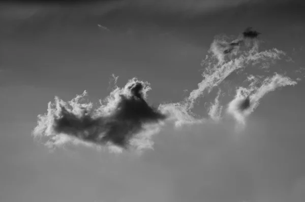 Pequeño soplo solitario de una nube —  Fotos de Stock