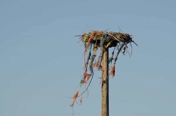 Nesting Platform Standing Against a Blue Sky — Stock Photo, Image