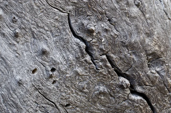 Nature Abstract - Naturally Weathered Wood — Stok Foto