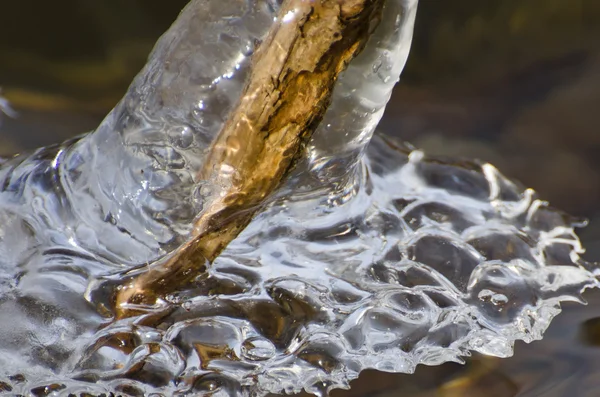 Resumen de la naturaleza - Encerrado en hielo — Foto de Stock