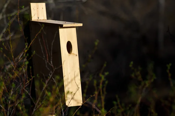 Nesting Box Standing in the Early Morning Sunlight — Stock Photo, Image