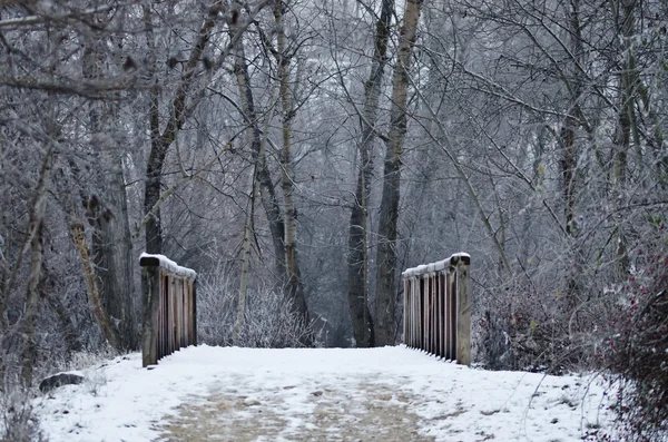 Snow Covered Footbridge Deep in the Forest — Stock Photo, Image