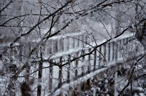 Sneeuw bedekt Footbridge verborgen achter de bevroren takken — Stockfoto