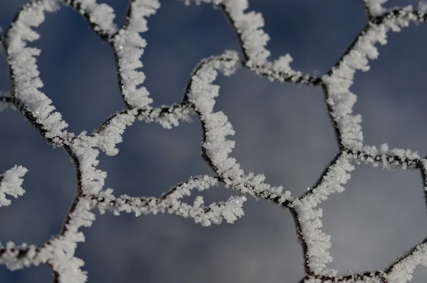 Natur abstrakt: Tråd stängsel Frost omfattas och frysa i vinter — Stockfoto