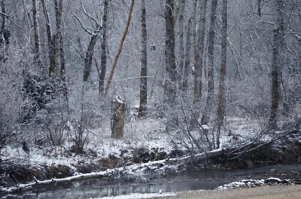Fresh White Snowfall Along the Cold Winter River — Stock Photo, Image