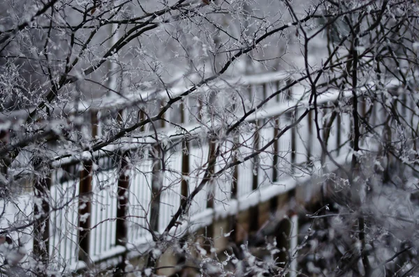 Schneebedeckter Steg versteckt sich hinter den gefrorenen Ästen — Stockfoto