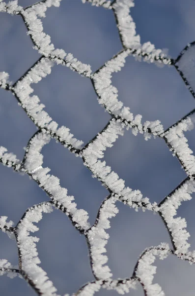 Résumé de la nature : Clôture métallique gelée couverte et gelée en hiver — Photo