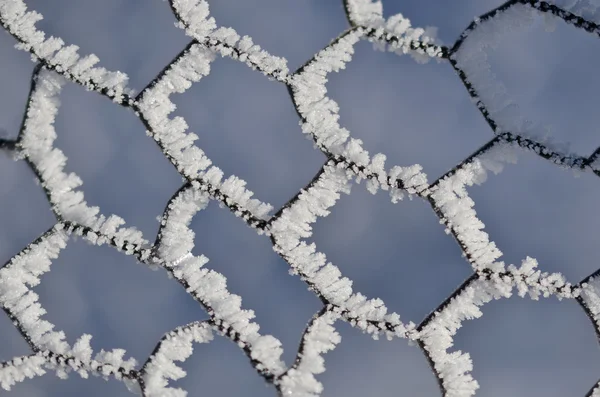 Résumé de la nature : Clôture métallique gelée couverte et gelée en hiver — Photo