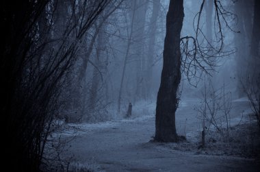 Ruh gölgeler karanlık dumanlı ormanda yol boyunca