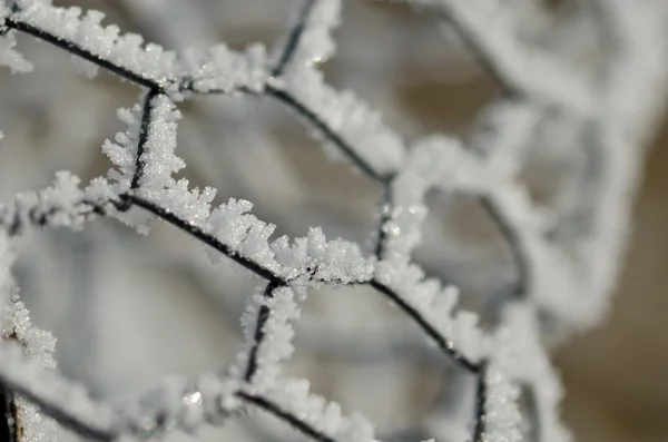Naturaleza Resumen: Esgrima de alambre cubierta de escarcha y congelación en invierno — Foto de Stock