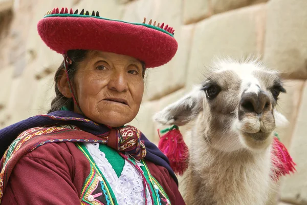 Porträtt av gamla peruanska quechua kvinnan i traditionella kläder med lamadjur i Cusco — Stockfoto