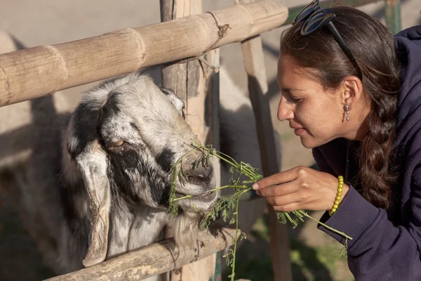 Young woman feeding a goat in safari park. — Stock Photo, Image