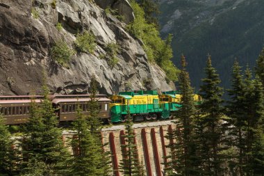 Beyaz Pass ve Yukon güzergah Skagway Alaska doğal demiryolu