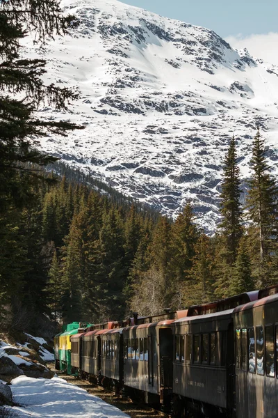 Ferrocarril escénico en White Pass y Yukon Route en Skagway Alaska — Foto de Stock