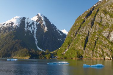 Amerika Birleşik Devletlerinde Alaska Tracy Arm fiyortları manzaraya