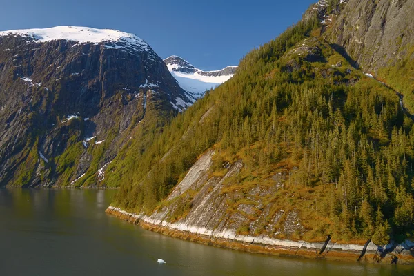 Krajobraz o Tracy Arm fiordy w Alaska Stany Zjednoczone — Zdjęcie stockowe