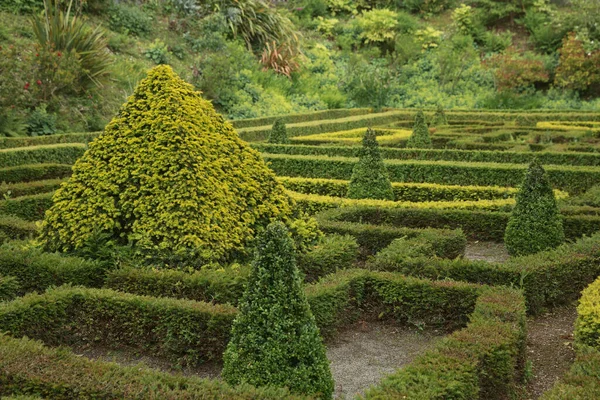 Bantry County Cork Ireland June 2017 Bantry House Gardens County — Stock Photo, Image