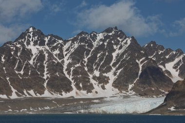 Kuzey Kutbu 'ndaki Svalbard Adaları' ndaki (Spitzbergen) Liefdefjord kıyı şeridi ve dağları.