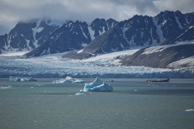 Kuzey Kutbu 'ndaki Svalbard Adaları' ndaki (Spitzbergen) Liefdefjord kıyı şeridi ve dağları.